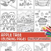 Collection of apple tree coloring pages to download.
