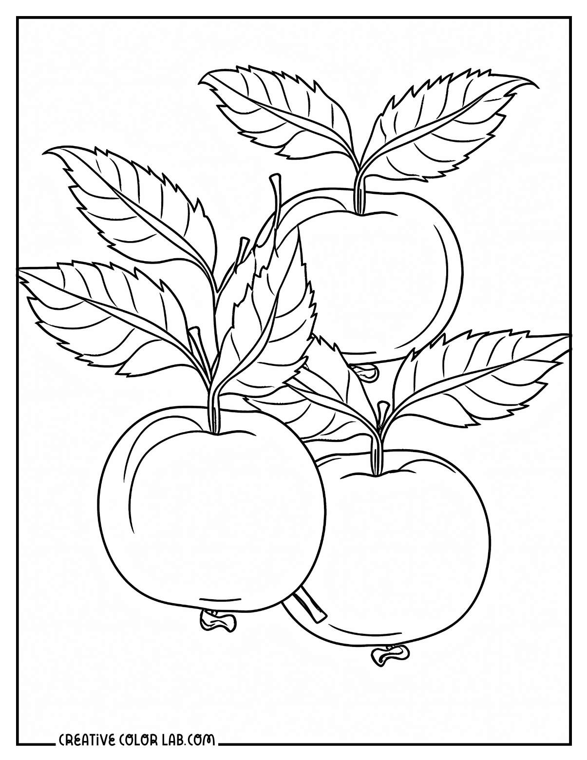 Three apples with leaves and stems coloring sheet.
