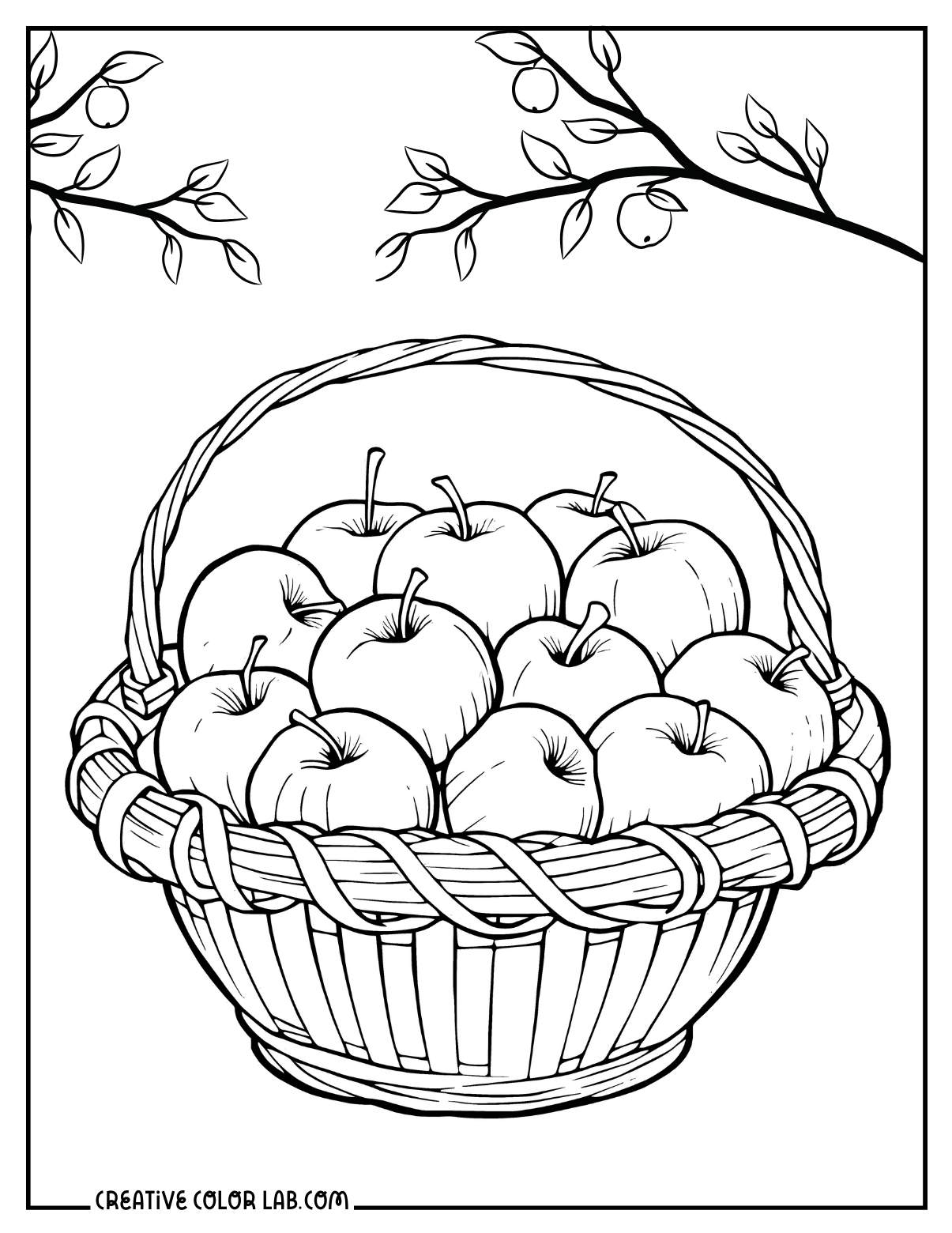 Autumn basket of apples to color
