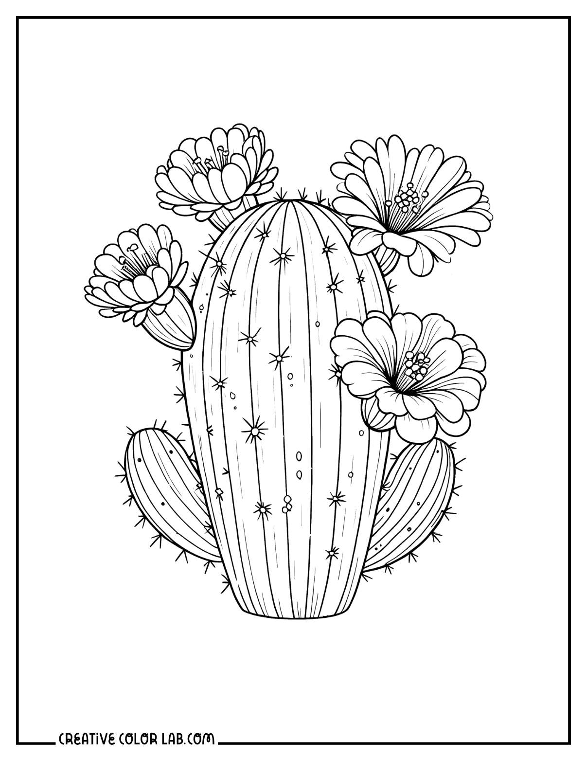 Cactus with blooming flowers coloring sheet.