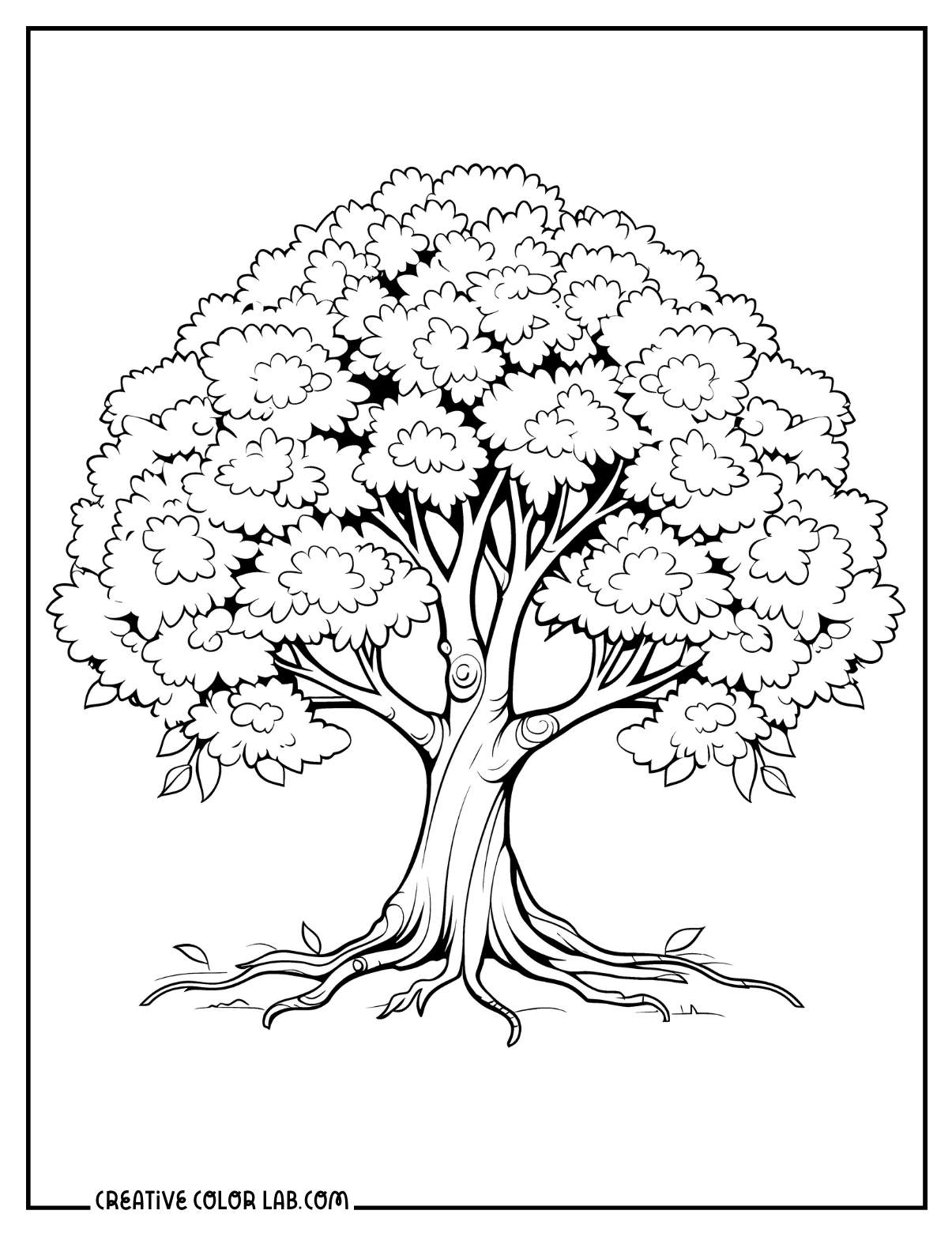 Cottonwood tree coloring page.
