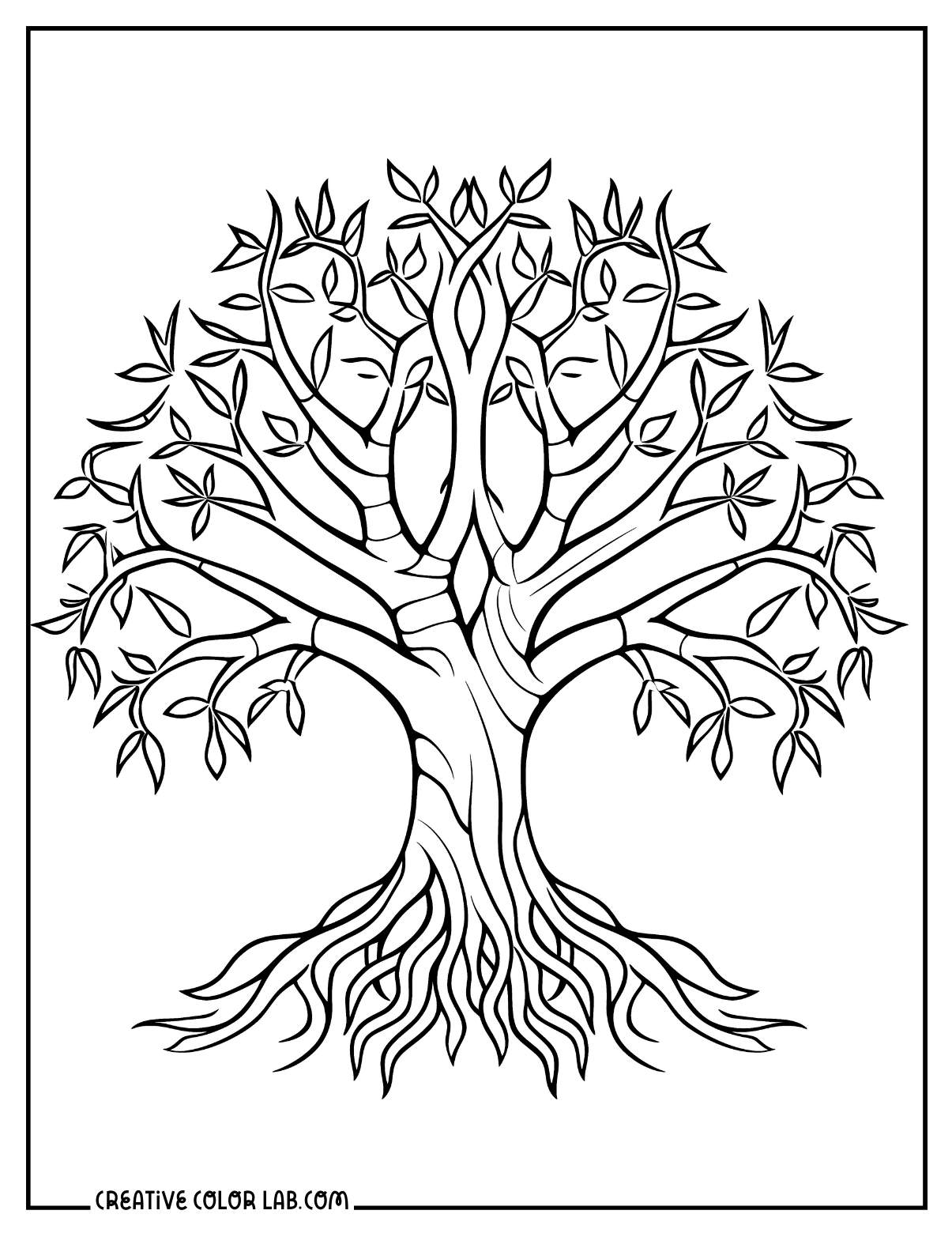 Cypress tree with roots coloring page.