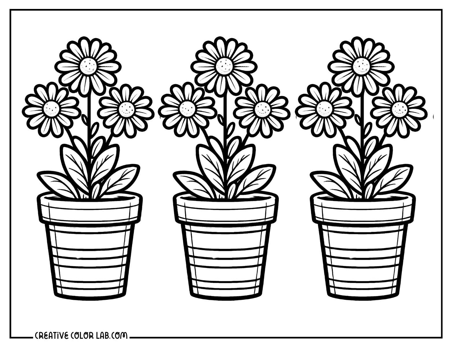 Daisies in pots coloring sheet.