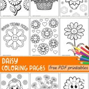 Collection of free daisy coloring pages PDFs.