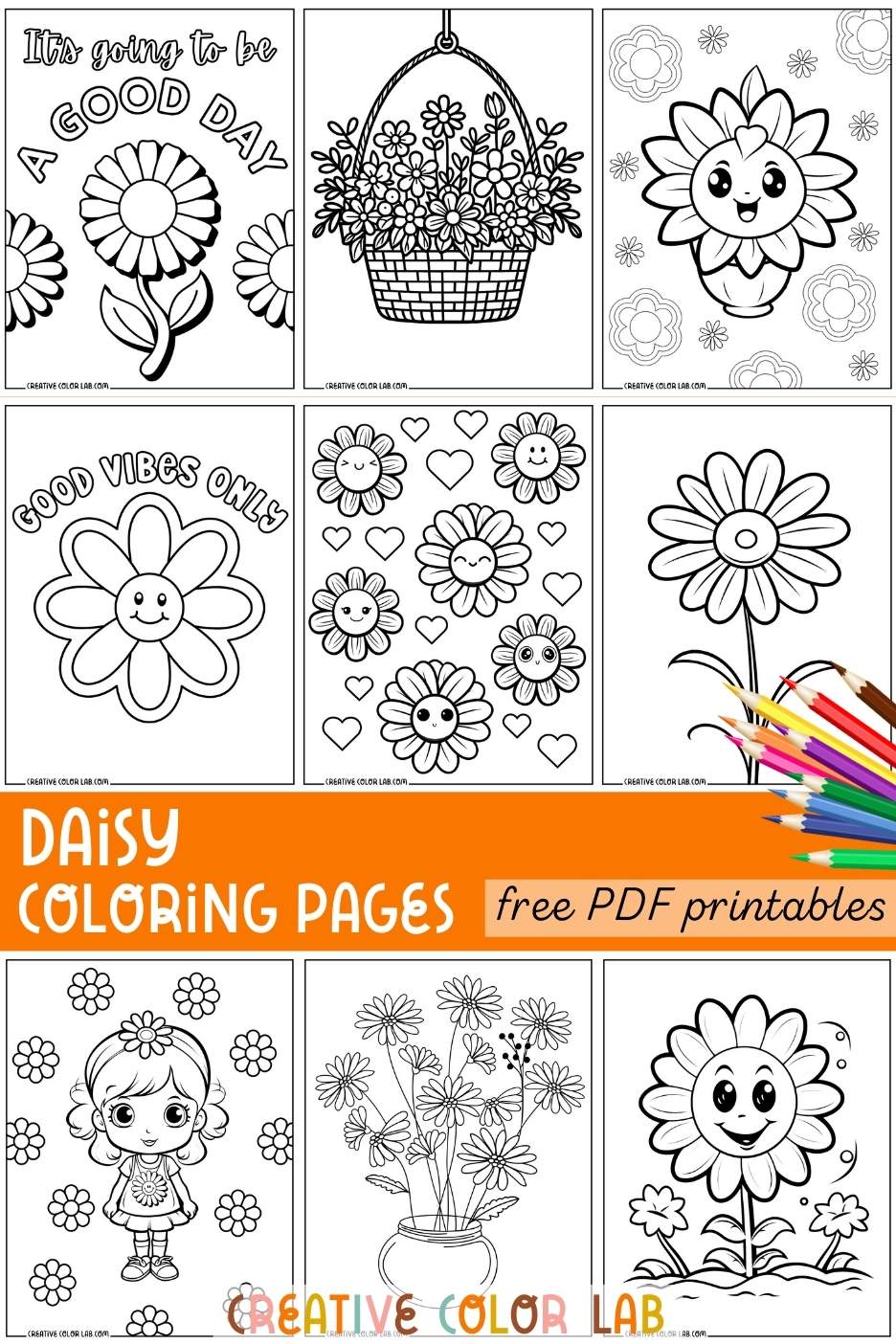 Collection of free daisy coloring pages PDFs.