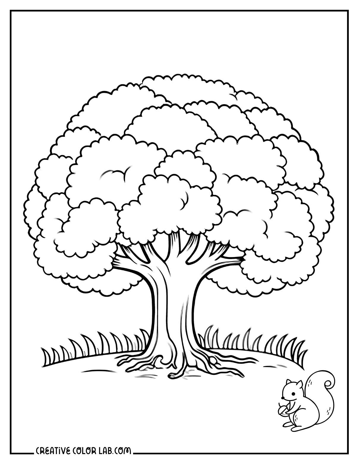 Deciduous tree coloring page with squirrel.