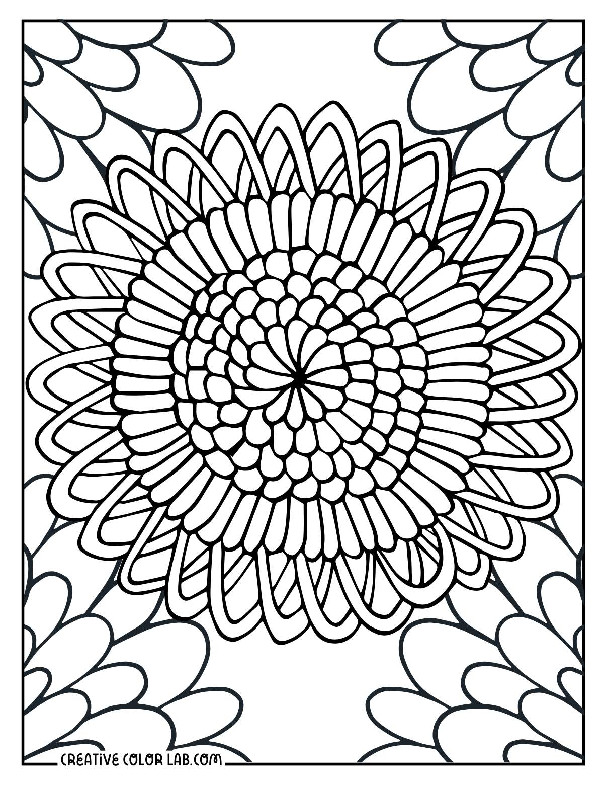 Detailed zinnia flower coloring page.