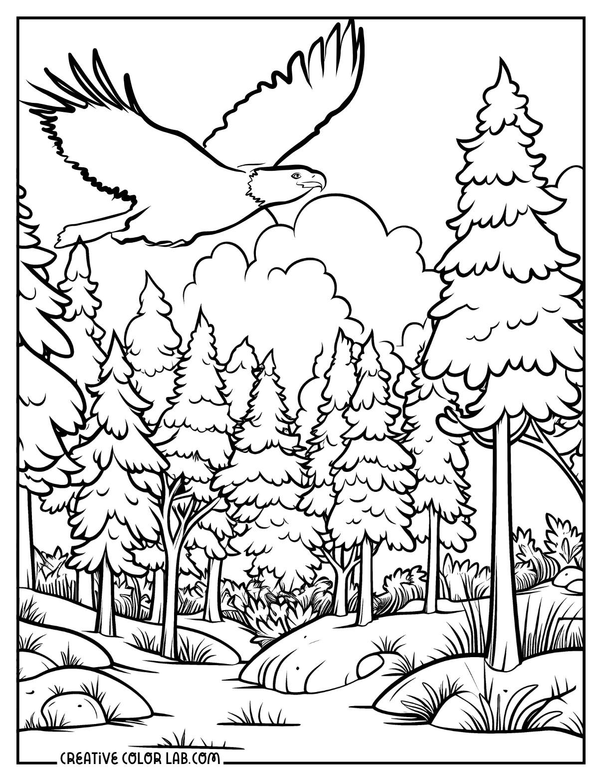 Eastern white pine tree coloring page with an eagle.