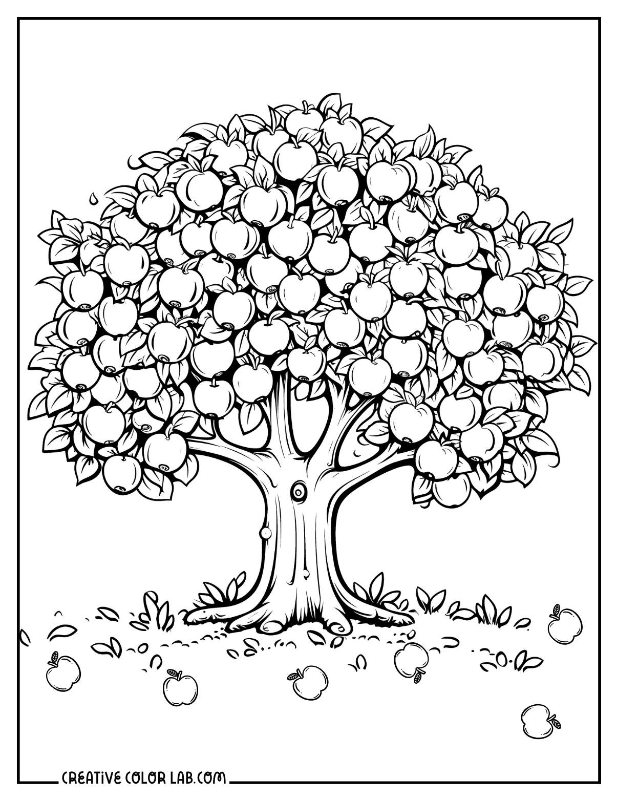 Fallen apples coloring sheet.