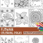 Collection of free flower coloring pages PDFs.