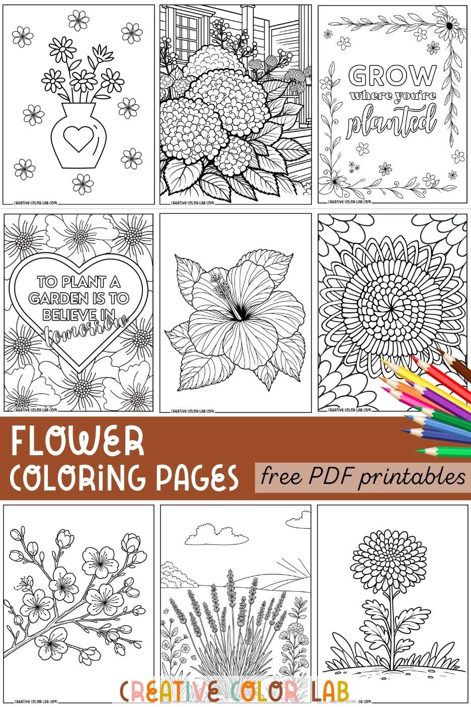 Collection of free flower coloring pages PDFs.