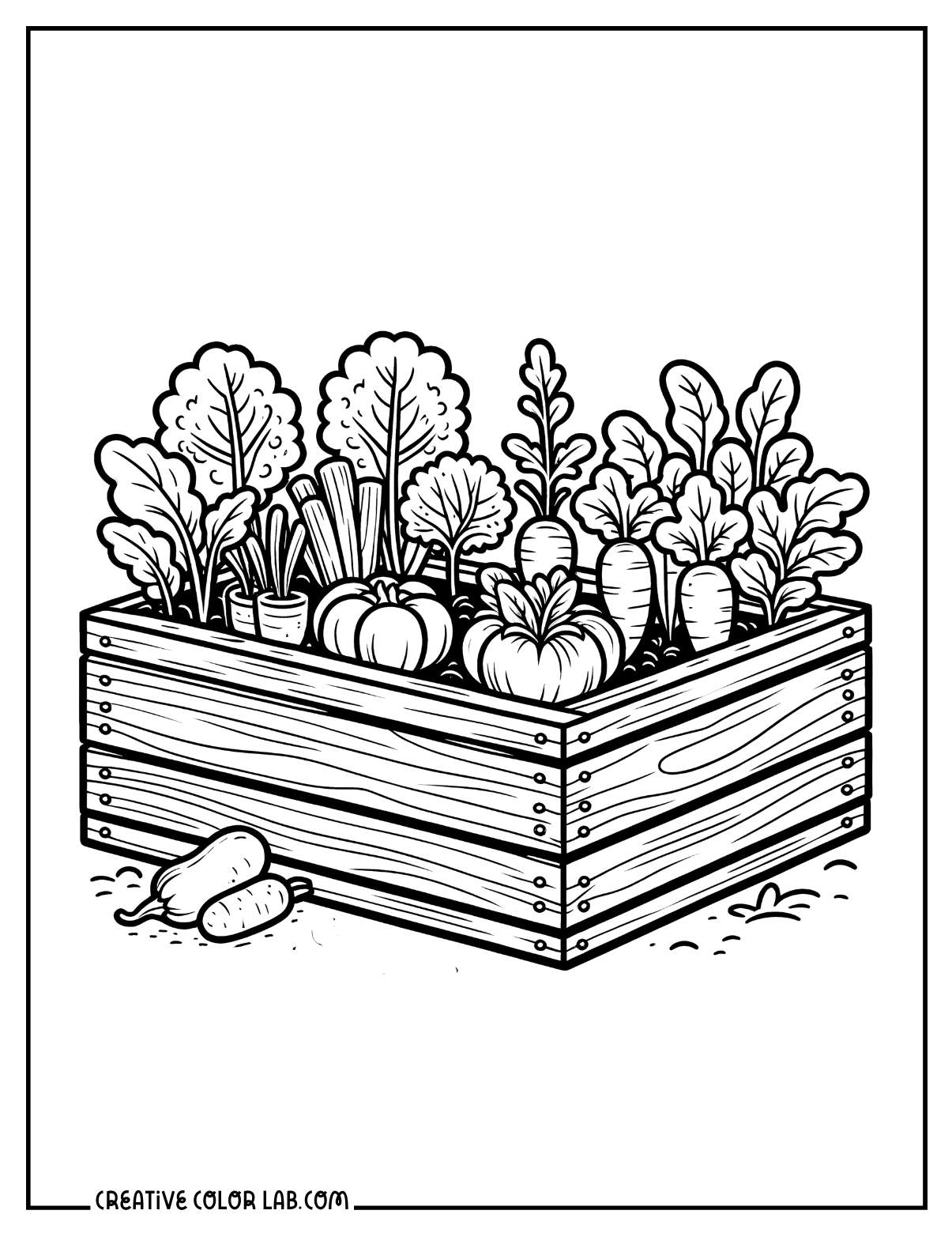 Garden box with vegetables outline to color for kids.