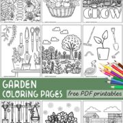 Collection of garden coloring pages PDFs to download.