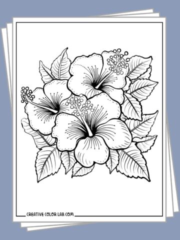 Free printable Hawaiian tropical flower coloring pages to download.