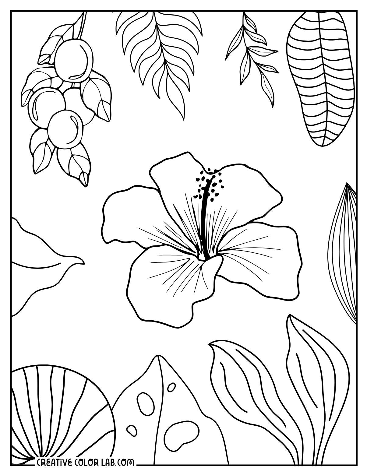 Hibiscus coloring page of tropical plants.