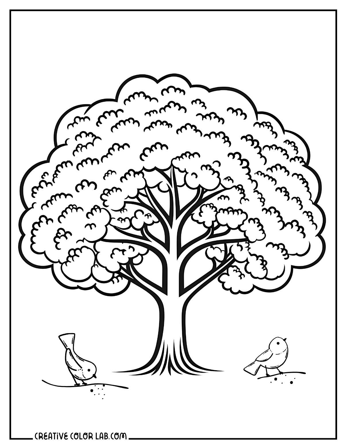 Honey locust tree coloring page.