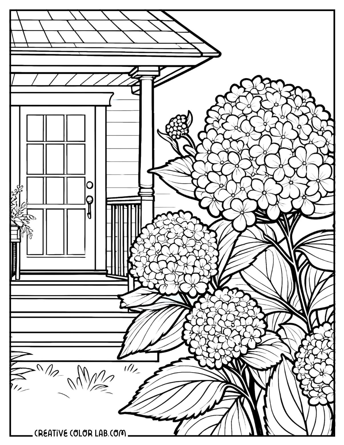 Hydrangea on the garden front porch coloring sheet.
