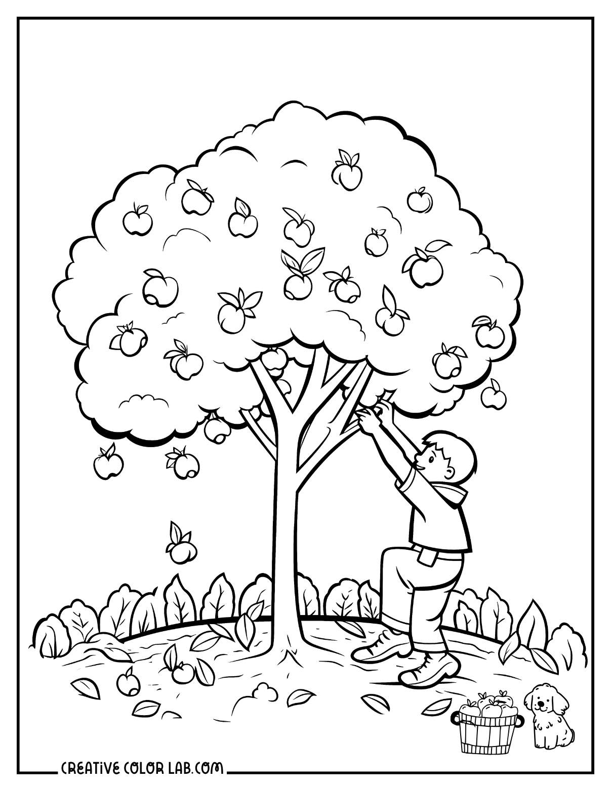 A kid climbing an apple tree illustration to color.