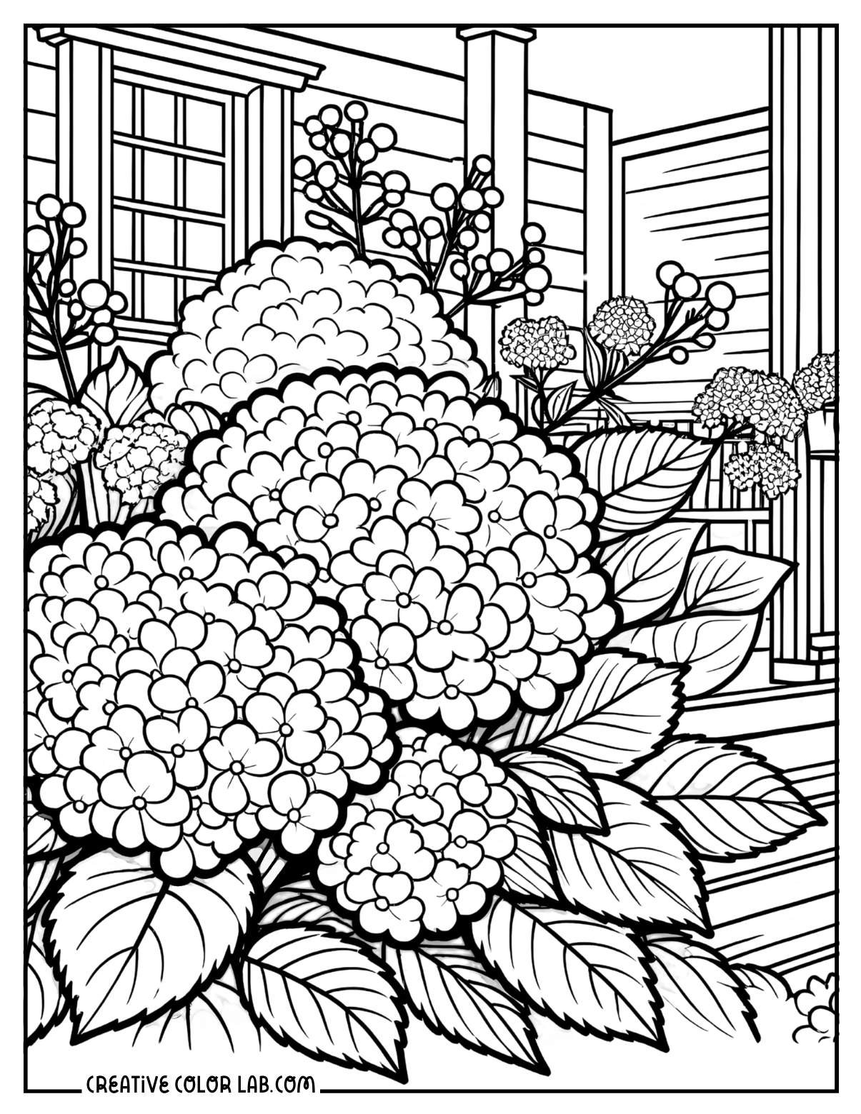 Detailed large blooming flowers coloring page for adults.