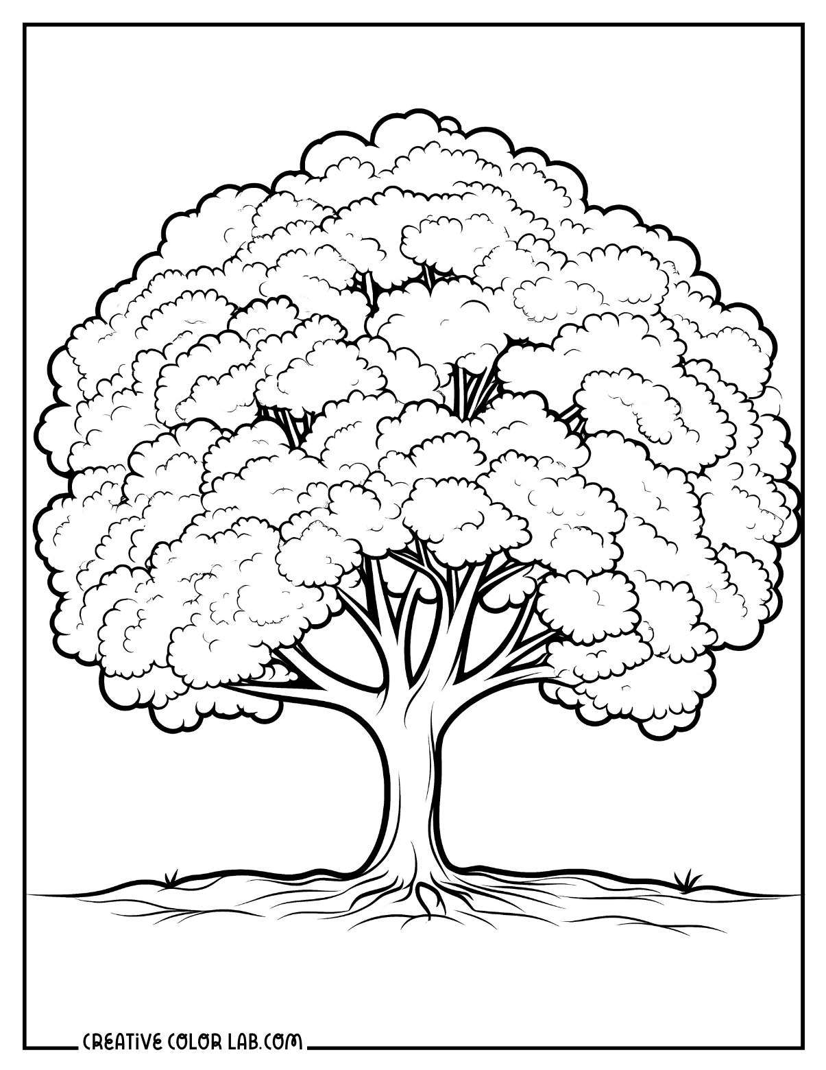 Large southern live oak tree coloring sheet.