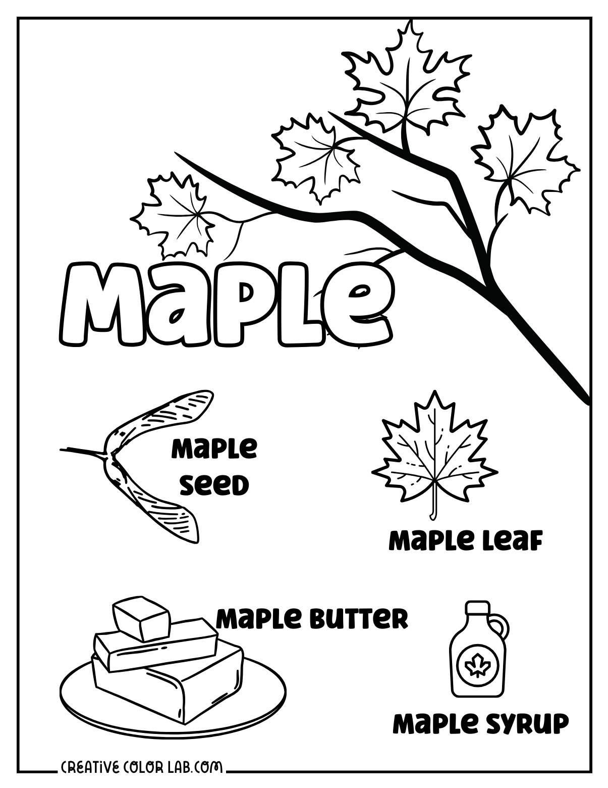 Maple tree coloring page.