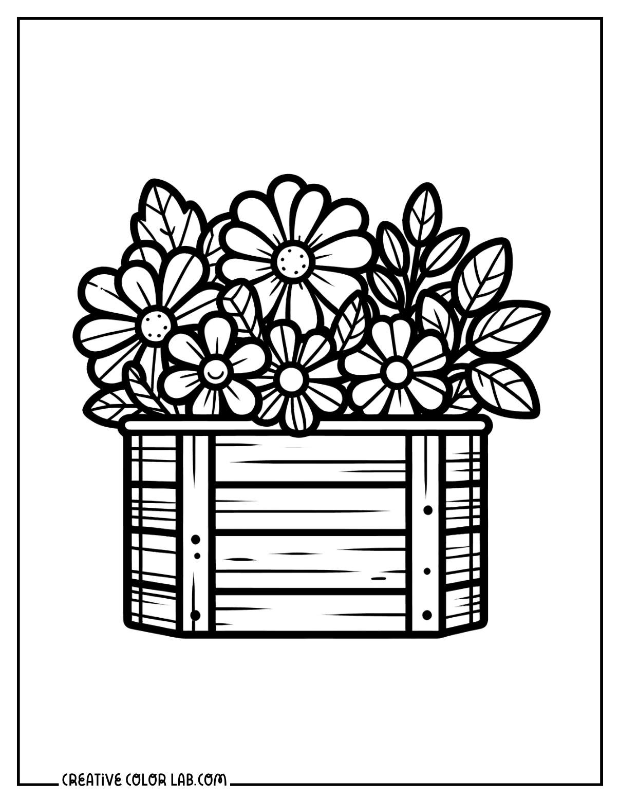 Planter box full of daisies line art to color.