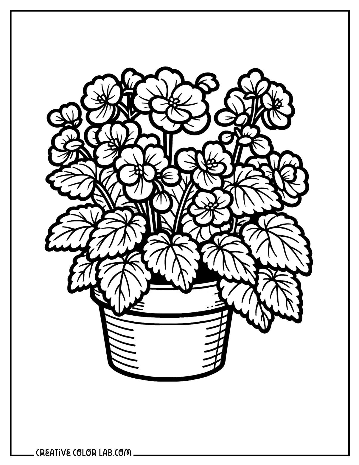 Pot of begonias coloring sheet.