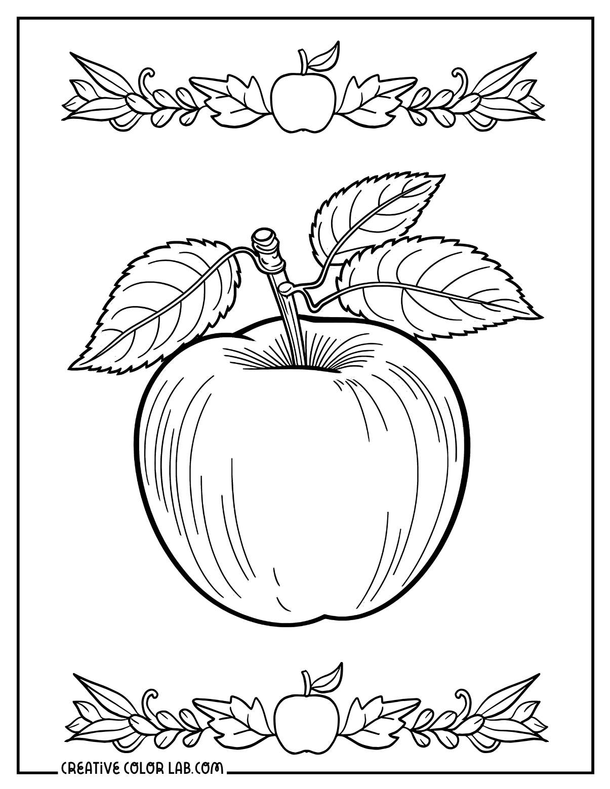 Realistic apple with leaves picture to color.
