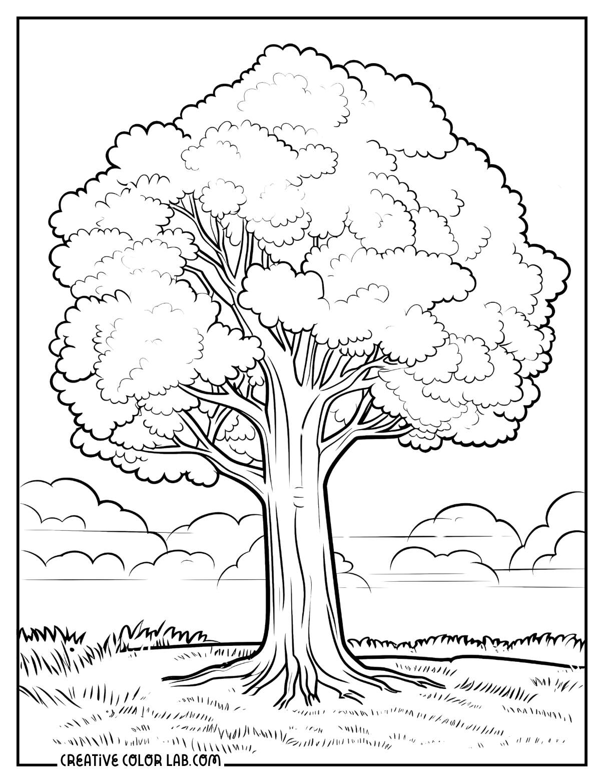 Realistic tree illustration to color.
