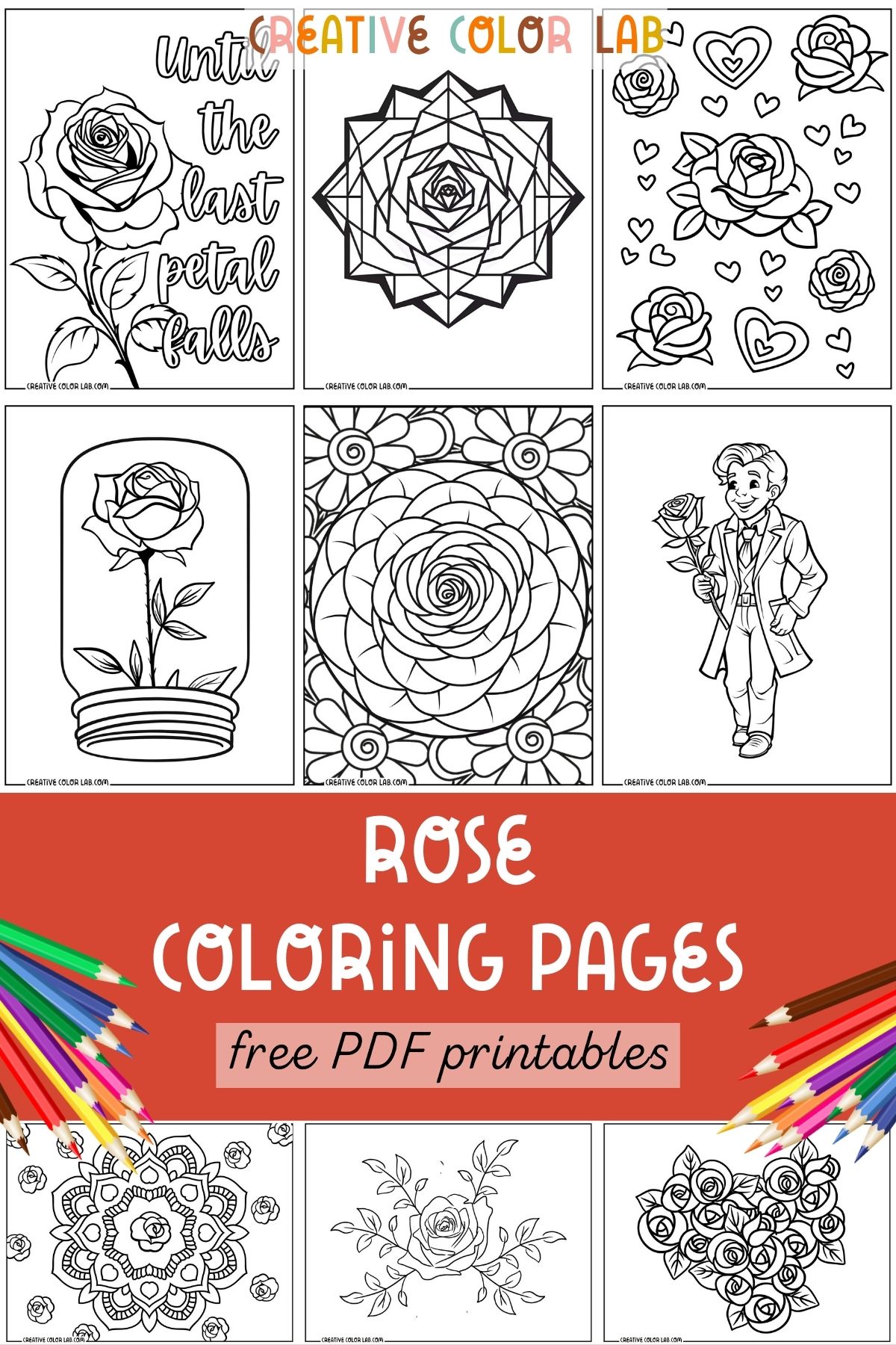 Collection of free PDF rose coloring pages.