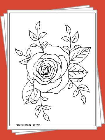 Free printable rose coloring pages.
