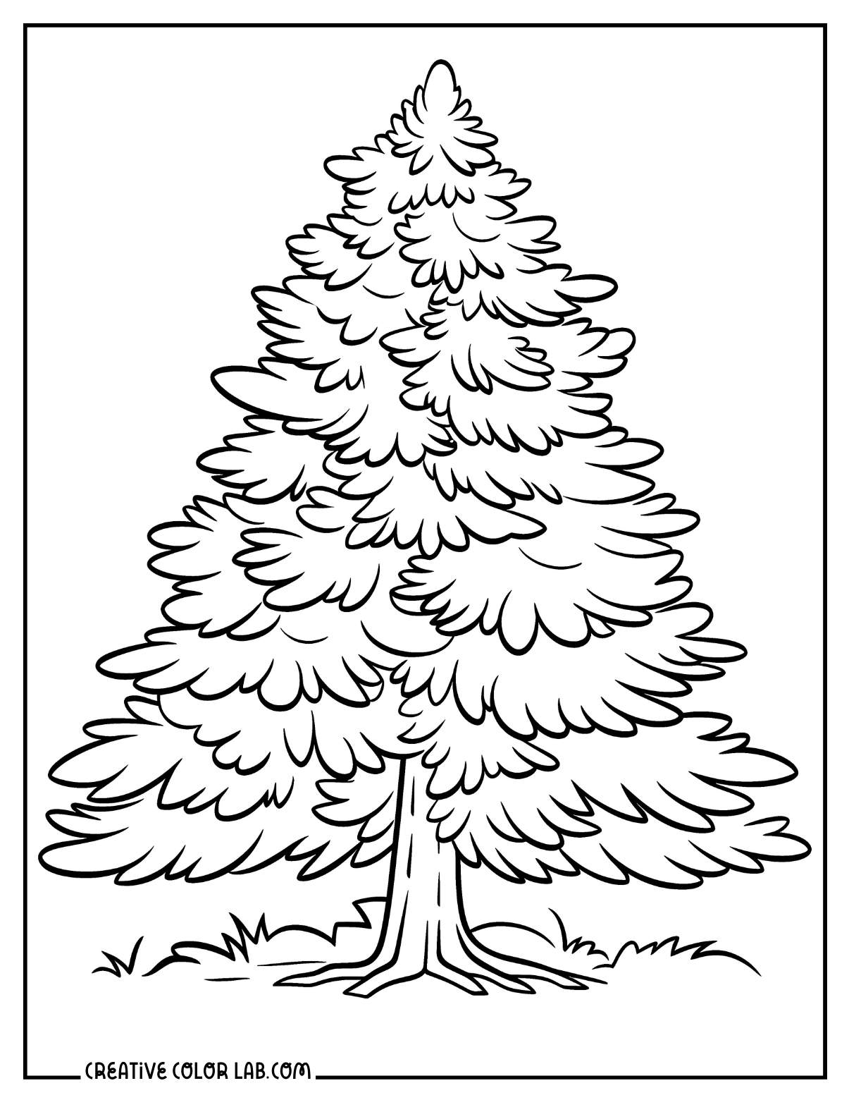 Simple pine tree picture to color.