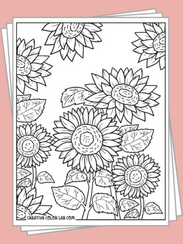 Free sunflower coloring pages PDF.