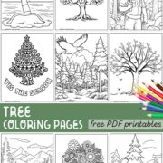 Collection of free printable tree coloring pages.