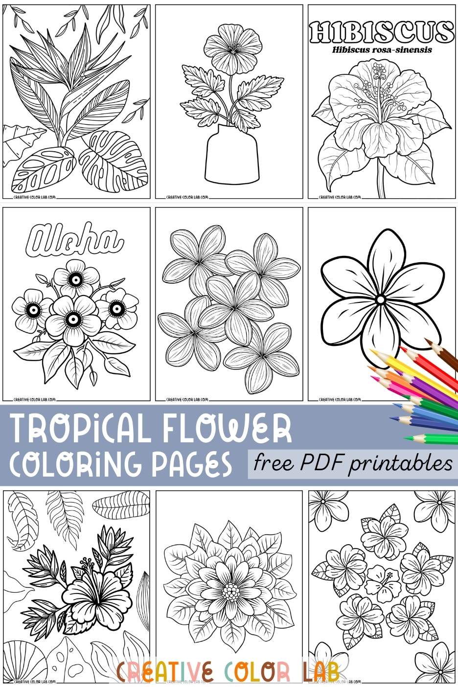 Free printable tropical flower coloring pages PDFs to download.