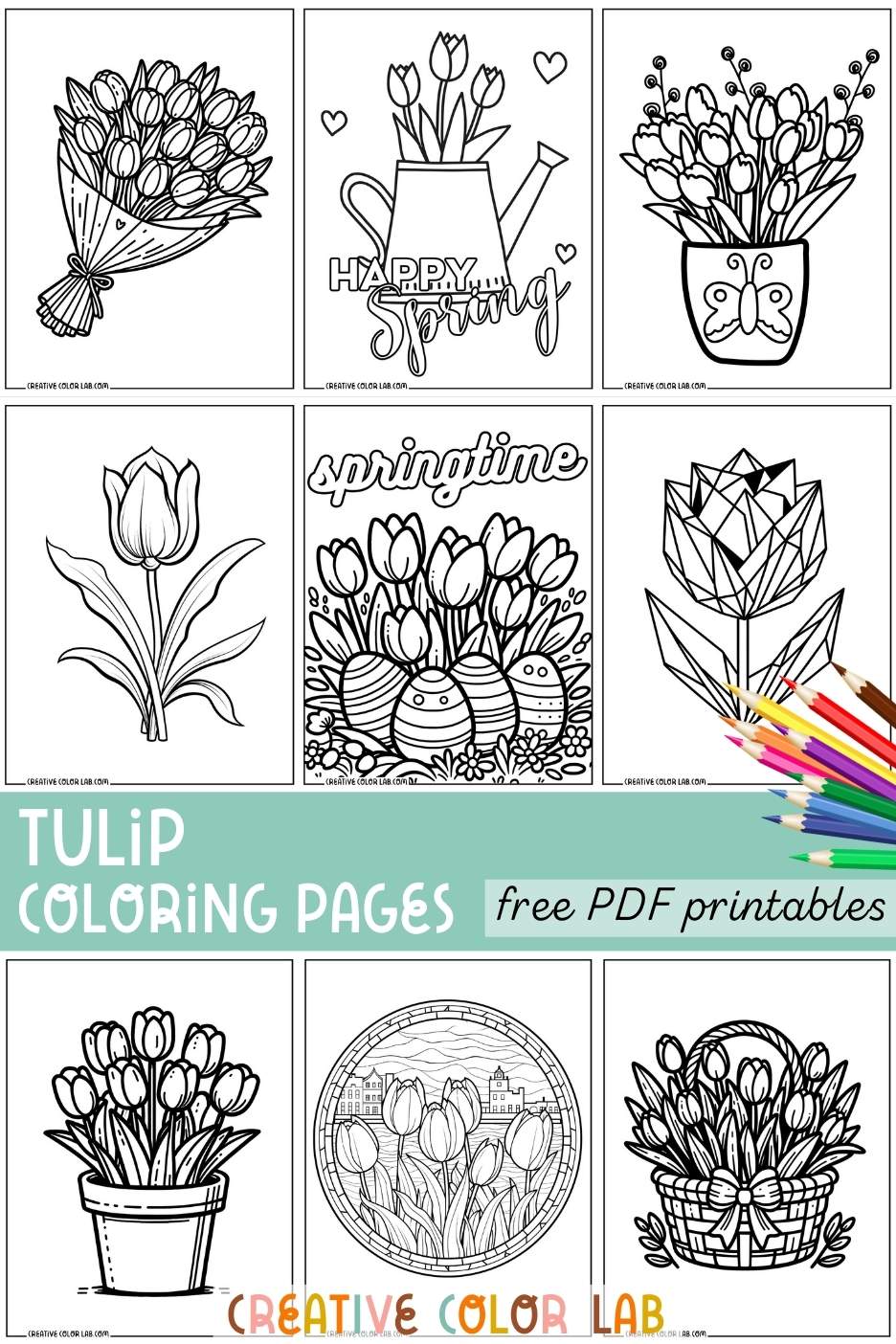 Collection of free tulip coloring pages PDF.